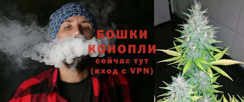 где можно купить   Олонец  Конопля SATIVA & INDICA 